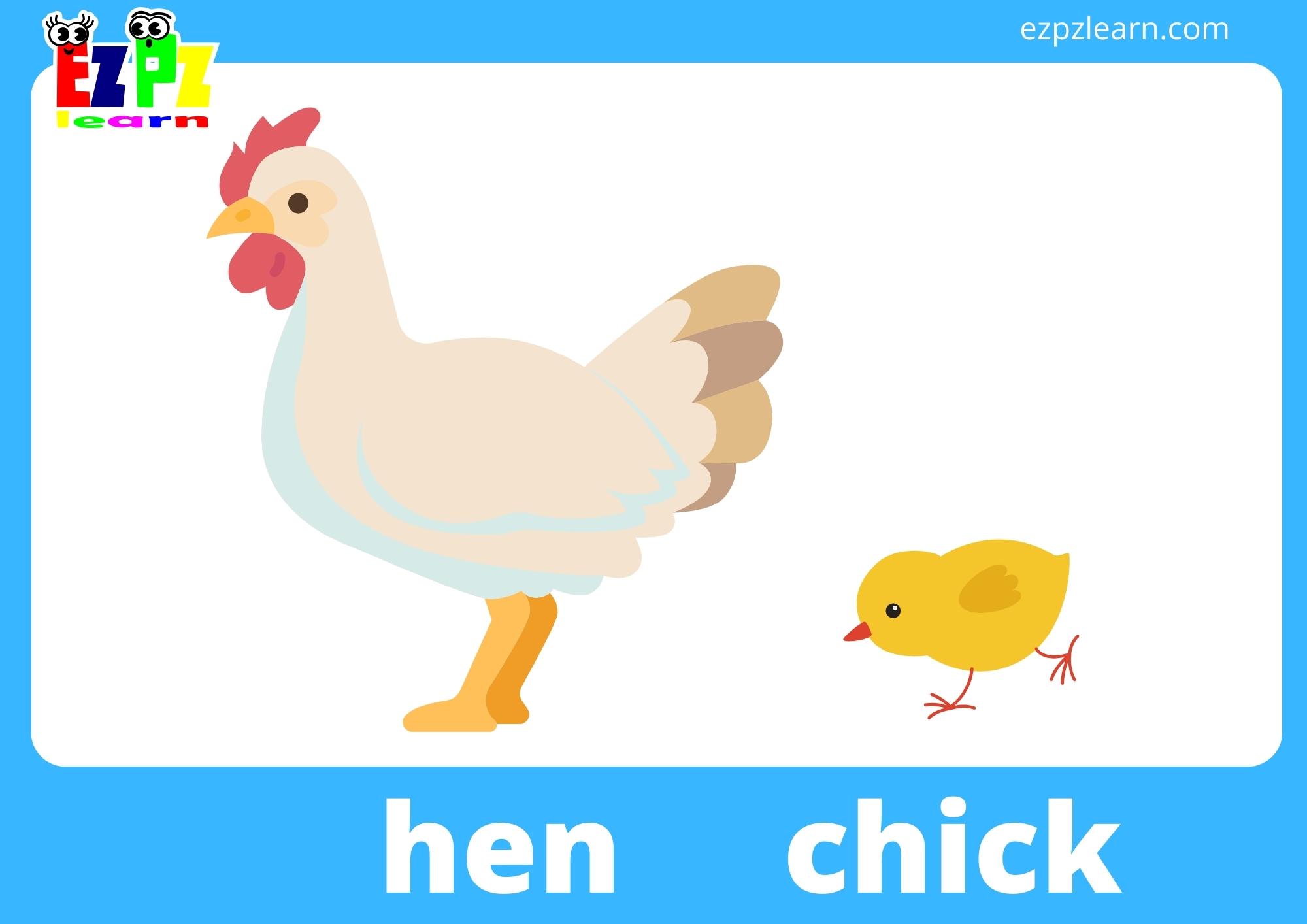 hen and chick